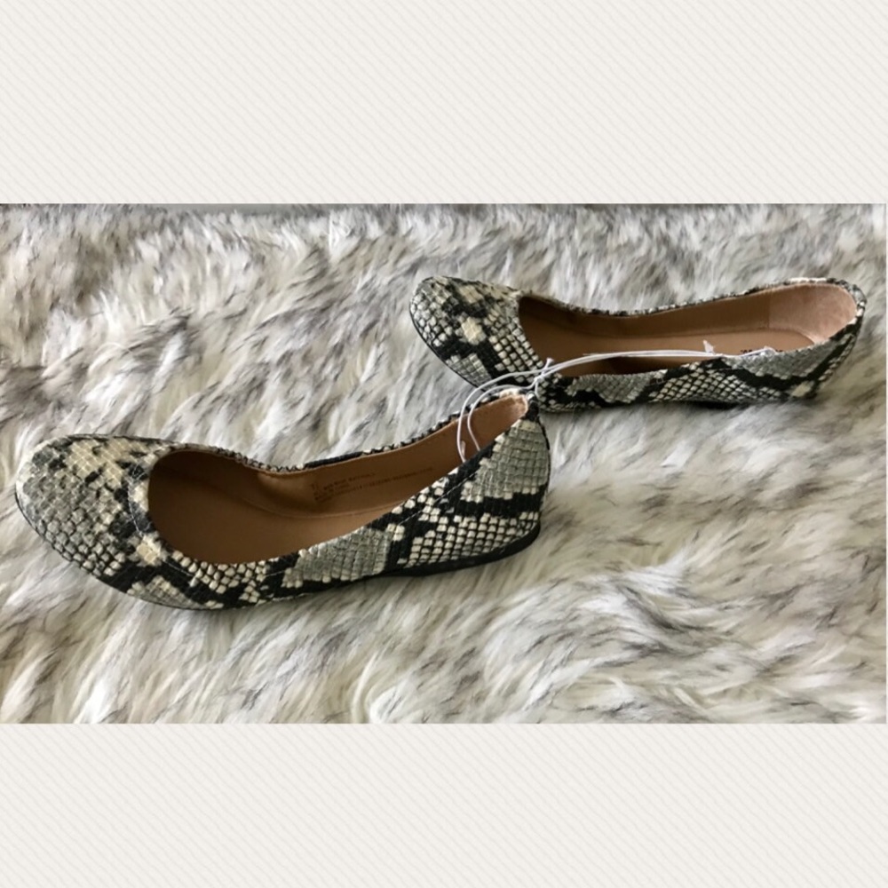 NWT Ballet Flats
